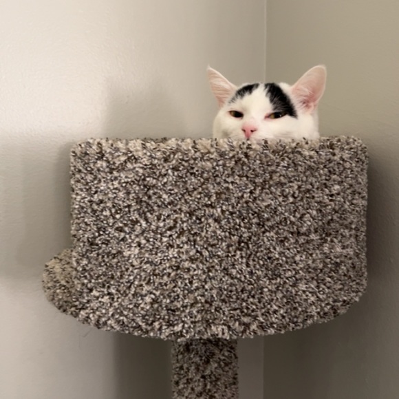 meet beka! - Picture 5 of 5